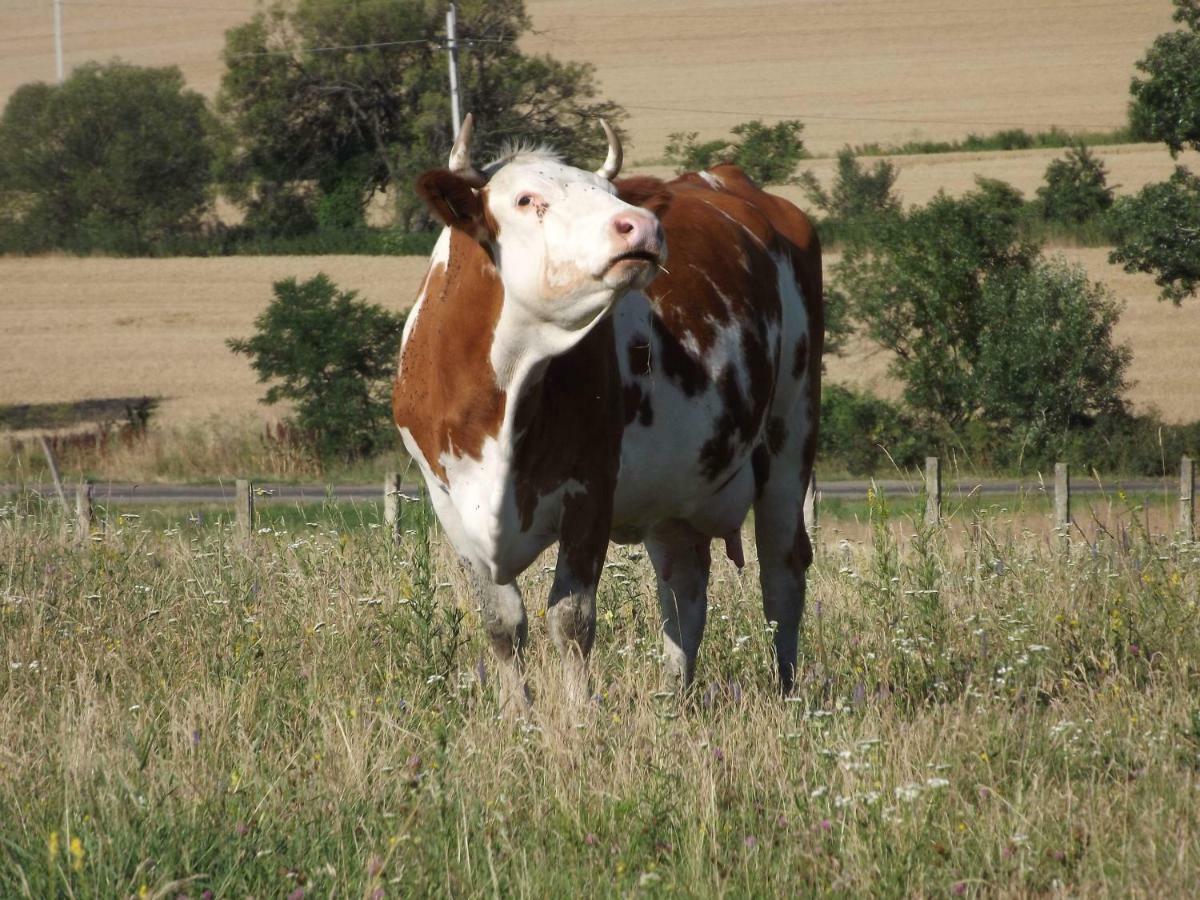 Dósa tanya, Vendégház Cserepfalu Exterior foto