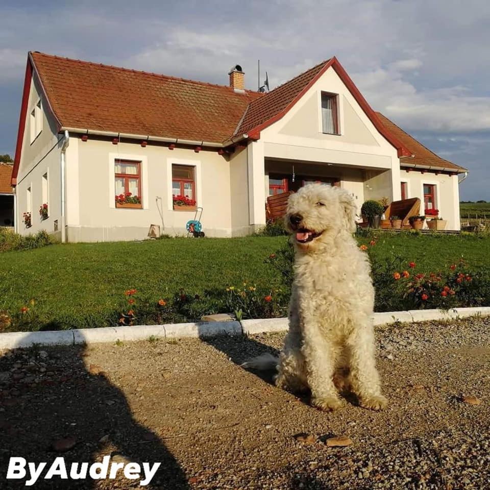 Dósa tanya, Vendégház Cserepfalu Exterior foto